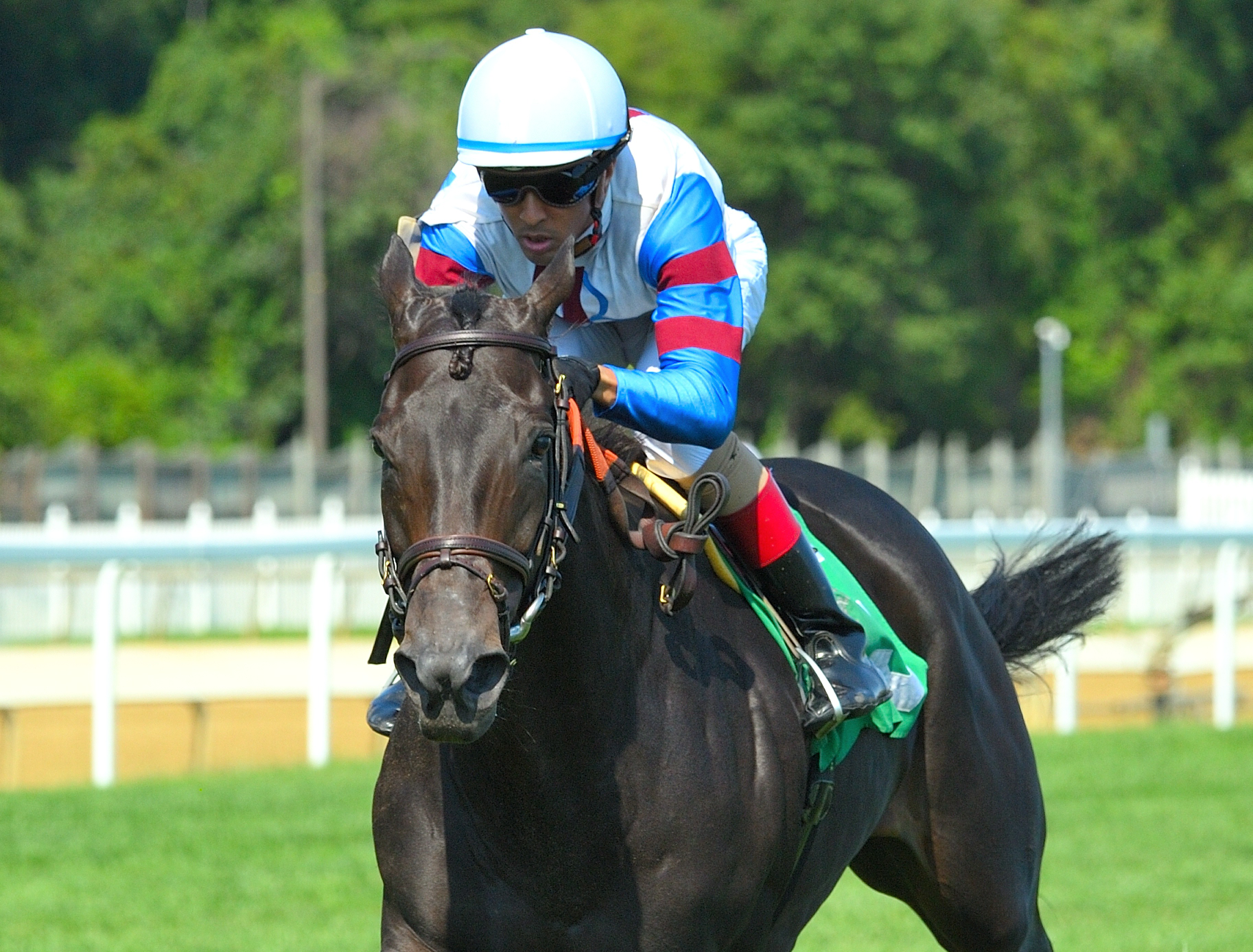Nay Lady nay / All Along Stakes