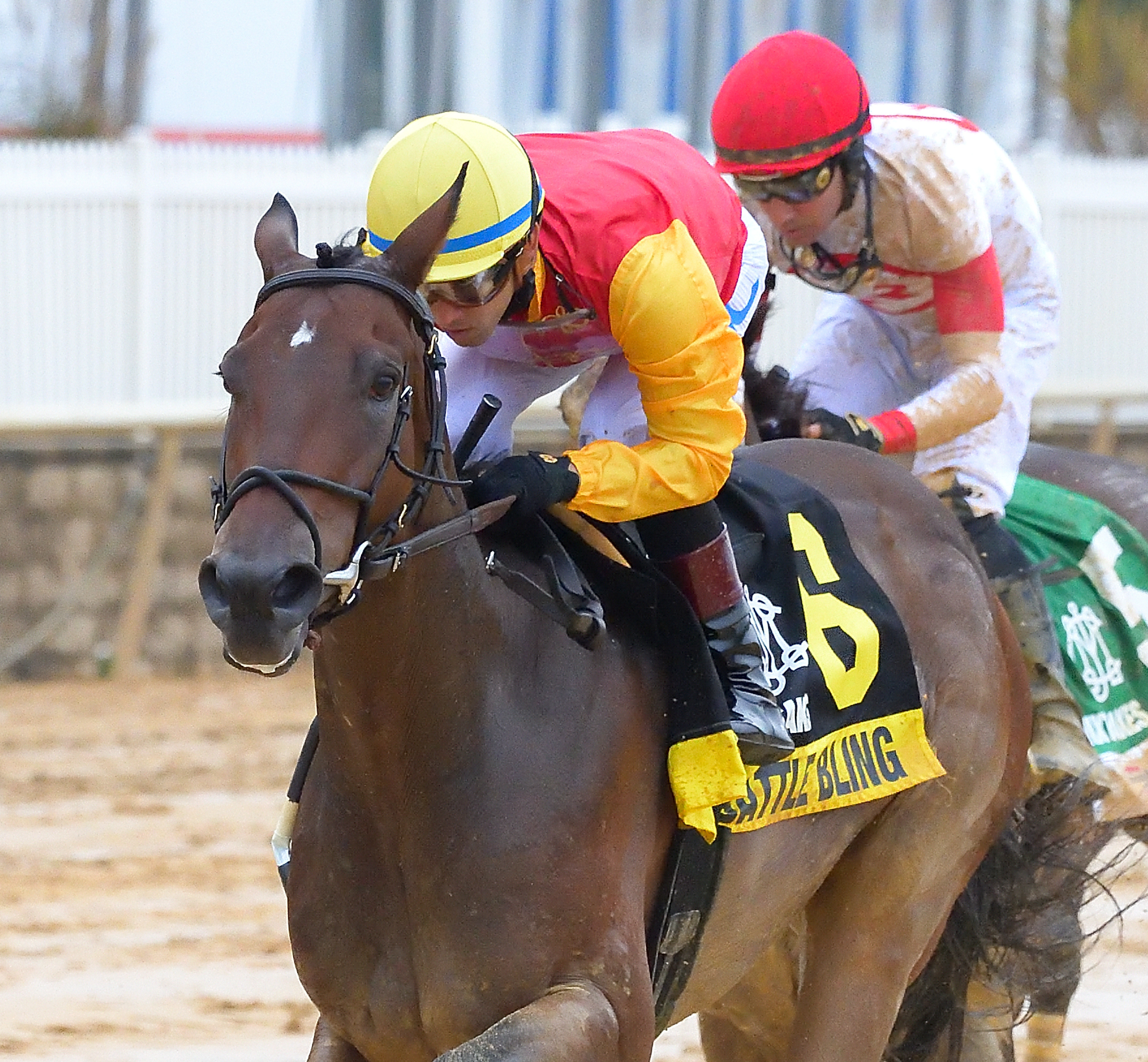 Battle Bling, Twixt Stakes