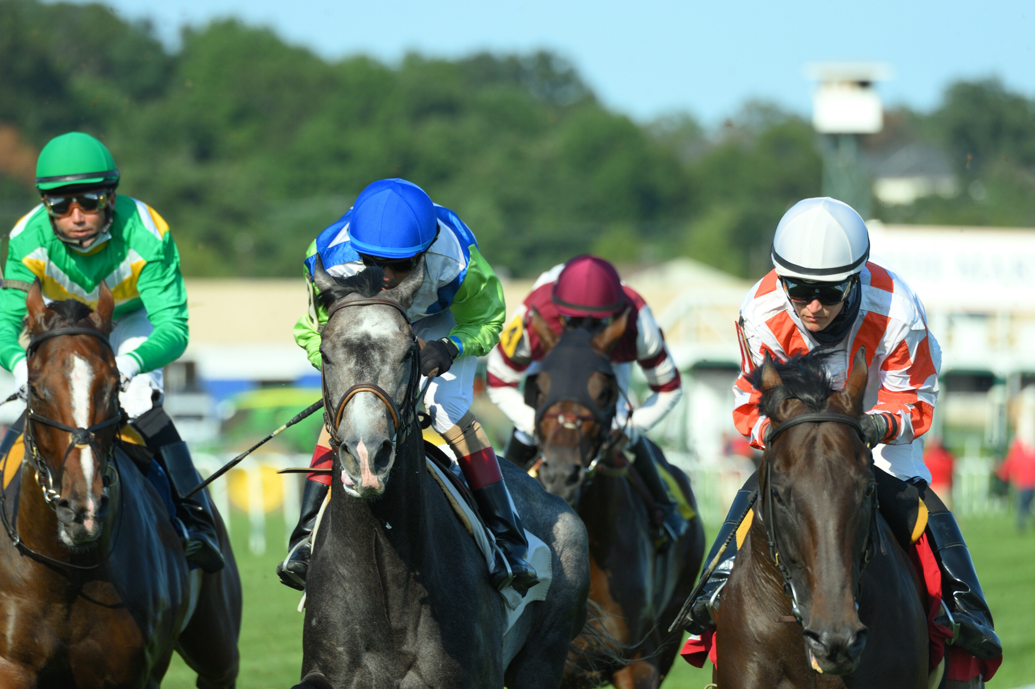 Doctor Mounty gana el Henry S. Clark Stakes
