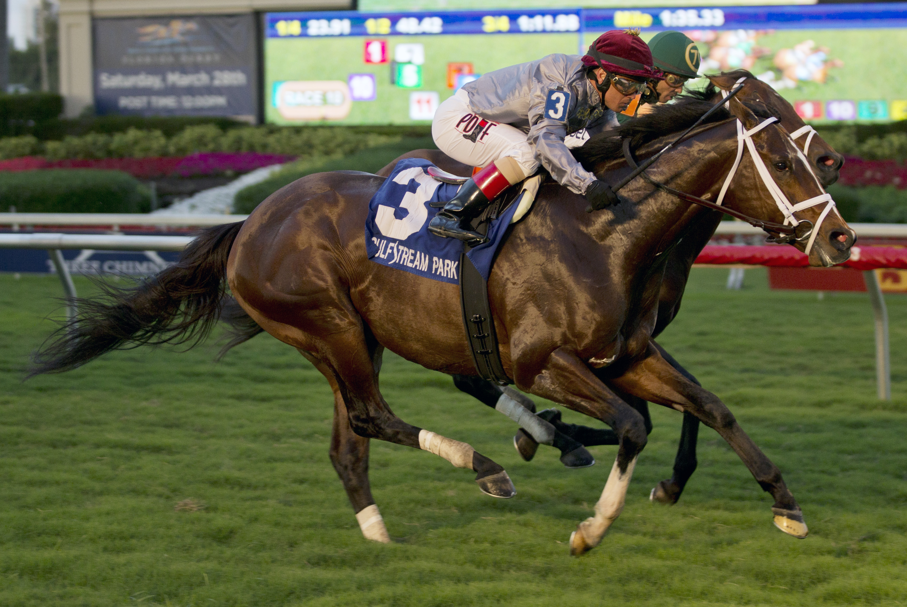 Mshawish 1-10-2015