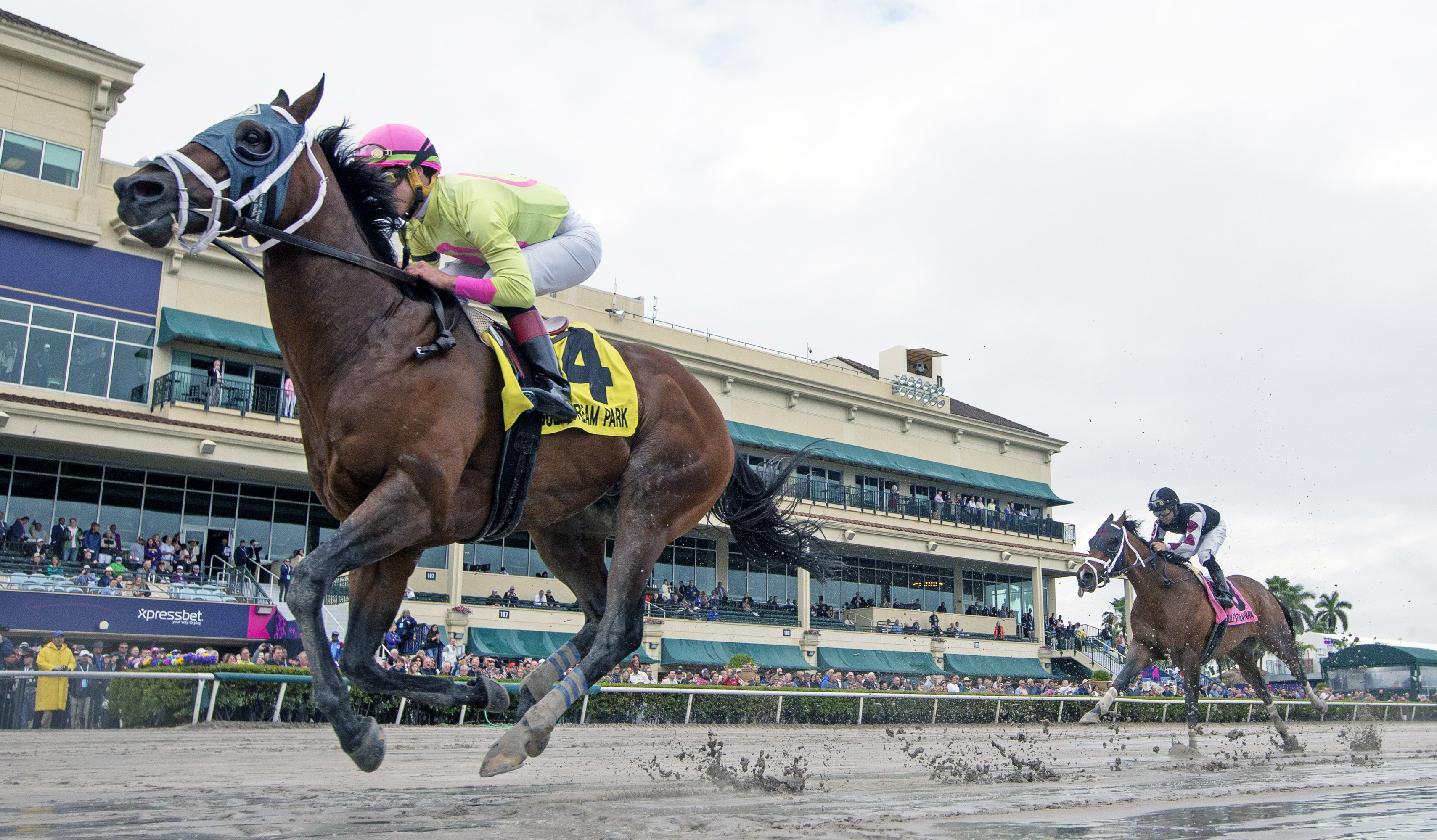 World of Trouble wins the 2019 GP Turf Sprint