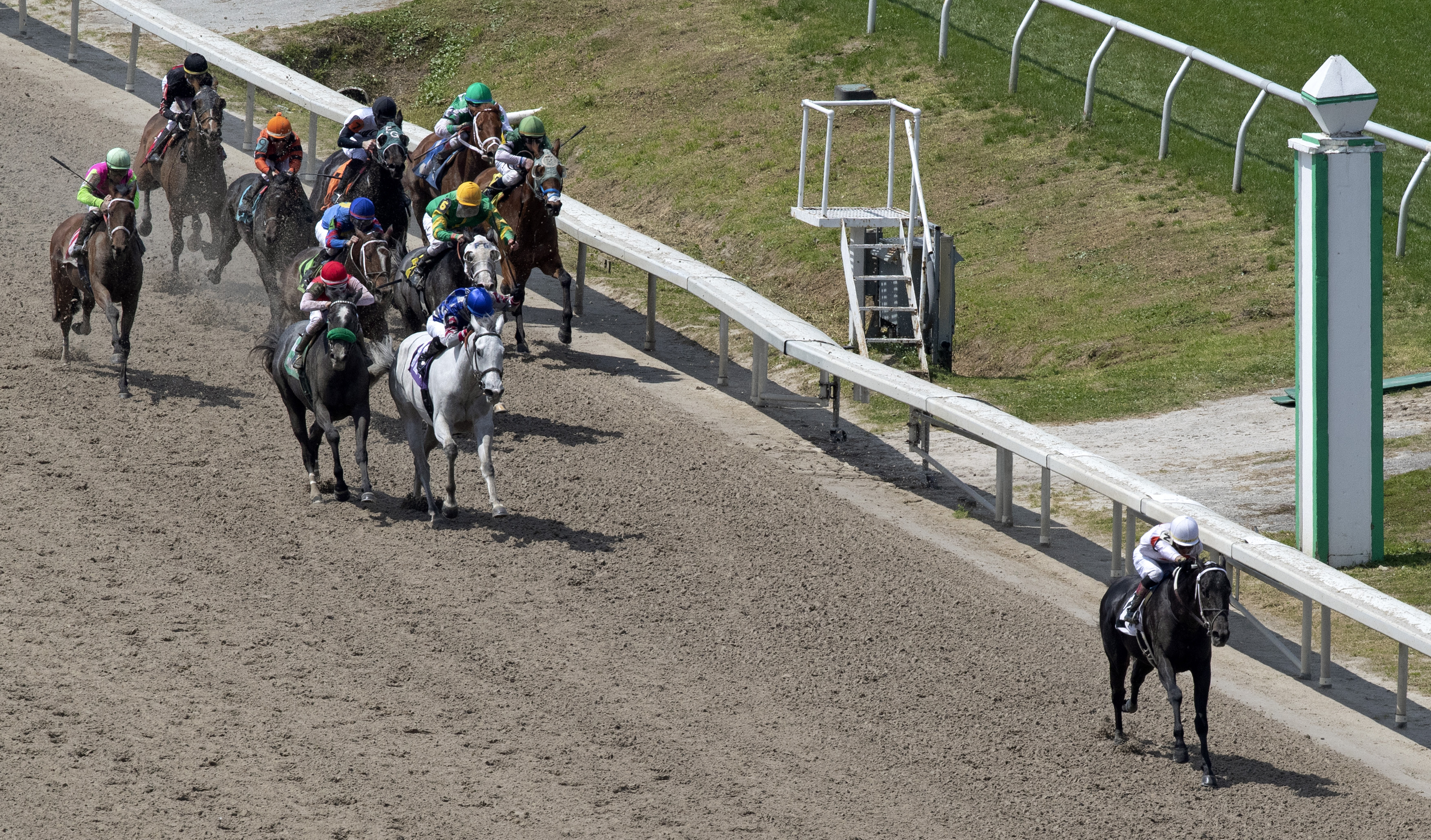 Shang wins the 2019 Crescent City Derby