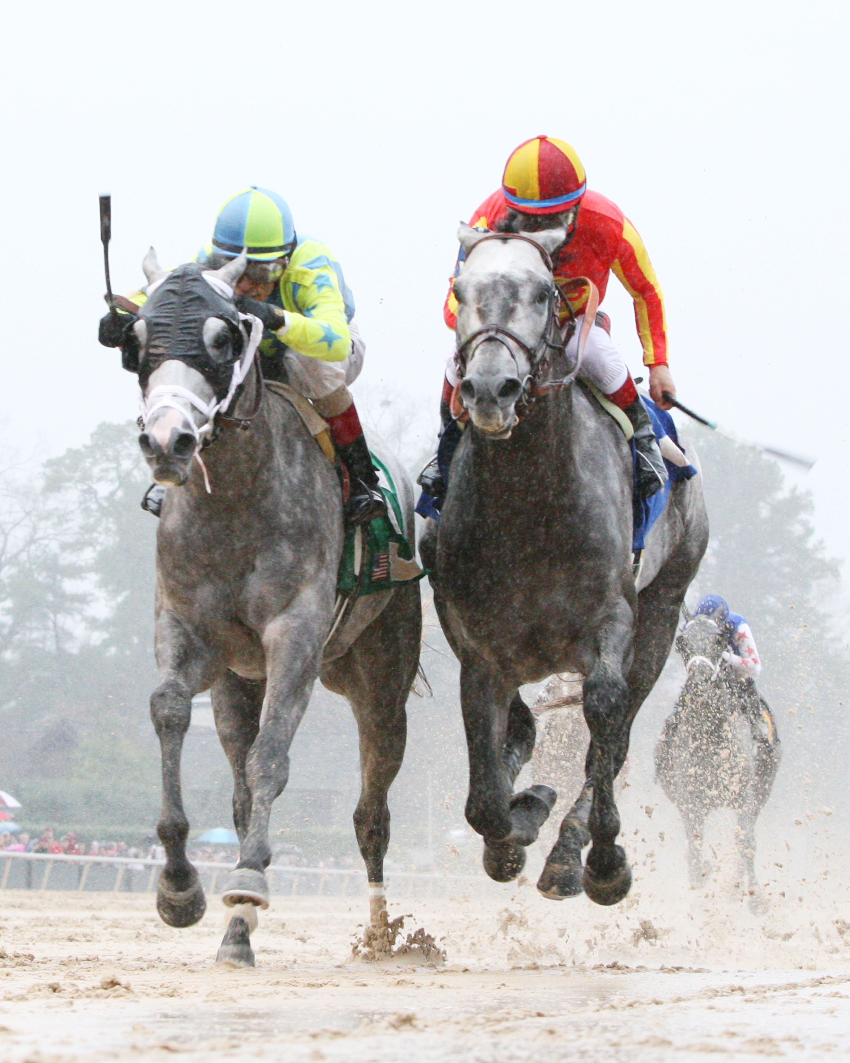 Race Day 3-14-2015
