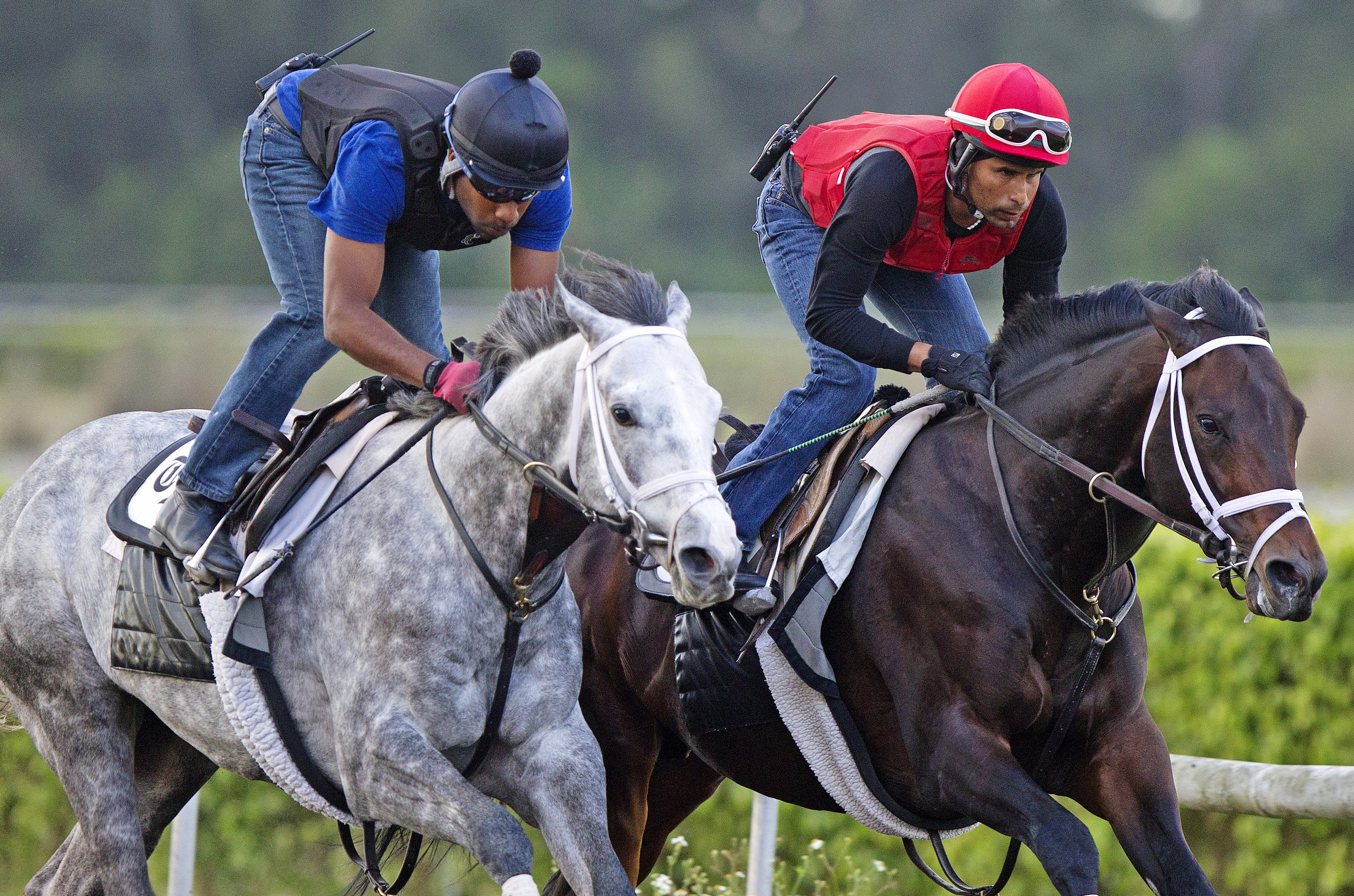 Race Day works with Protonico on Feb. 1