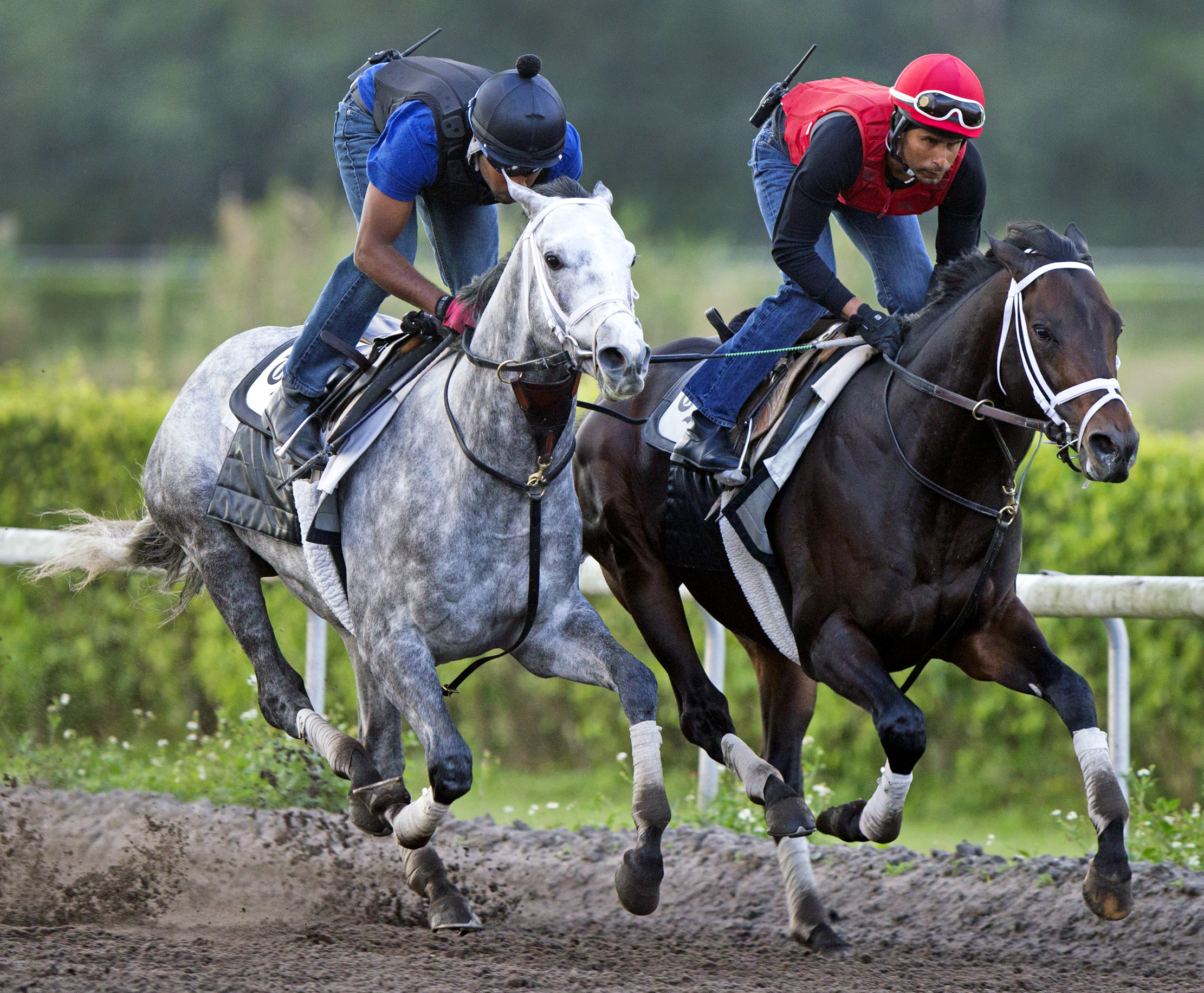 Race Day works with Protonico on Feb. 1