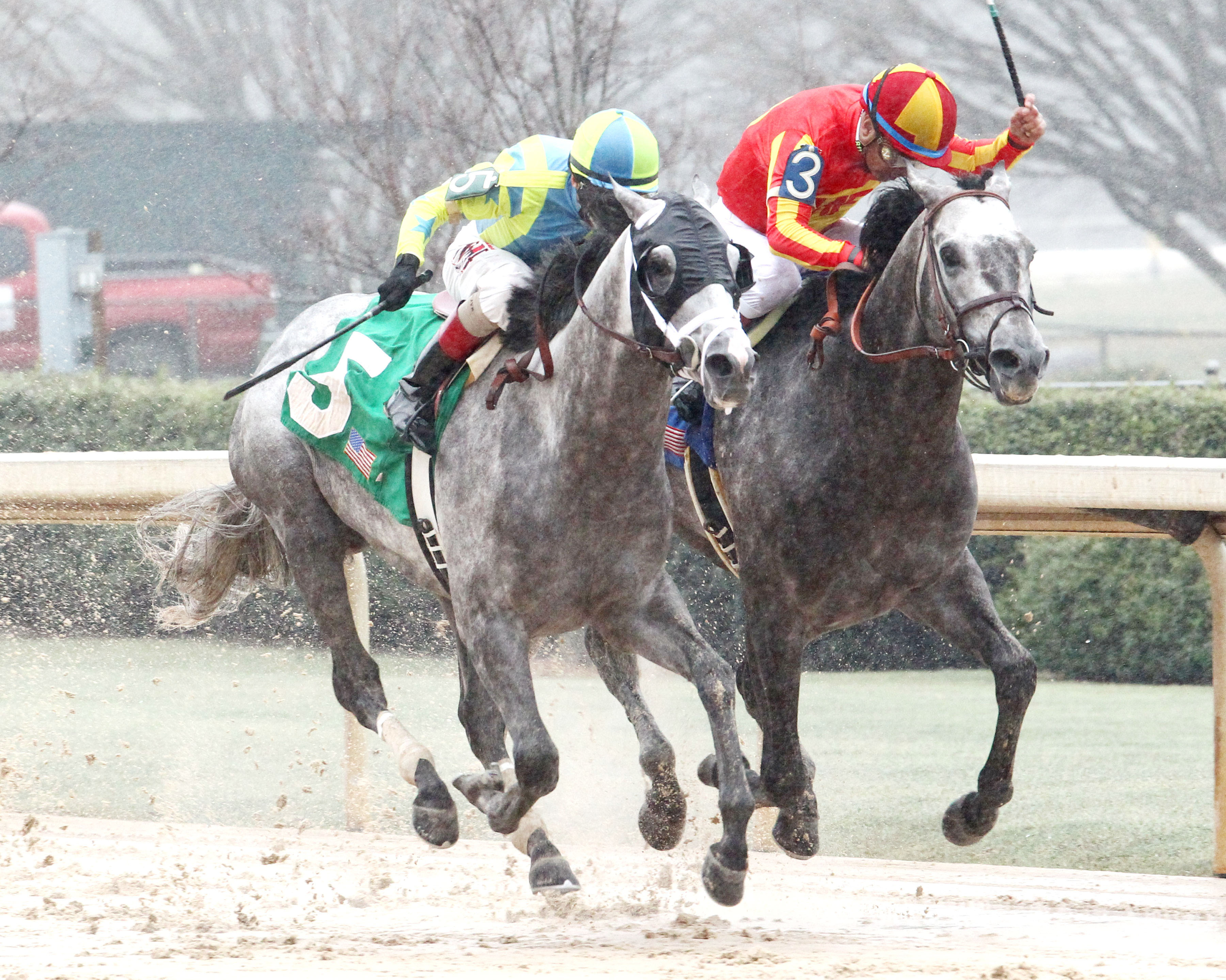 Race Day wins the Razorback Handicap