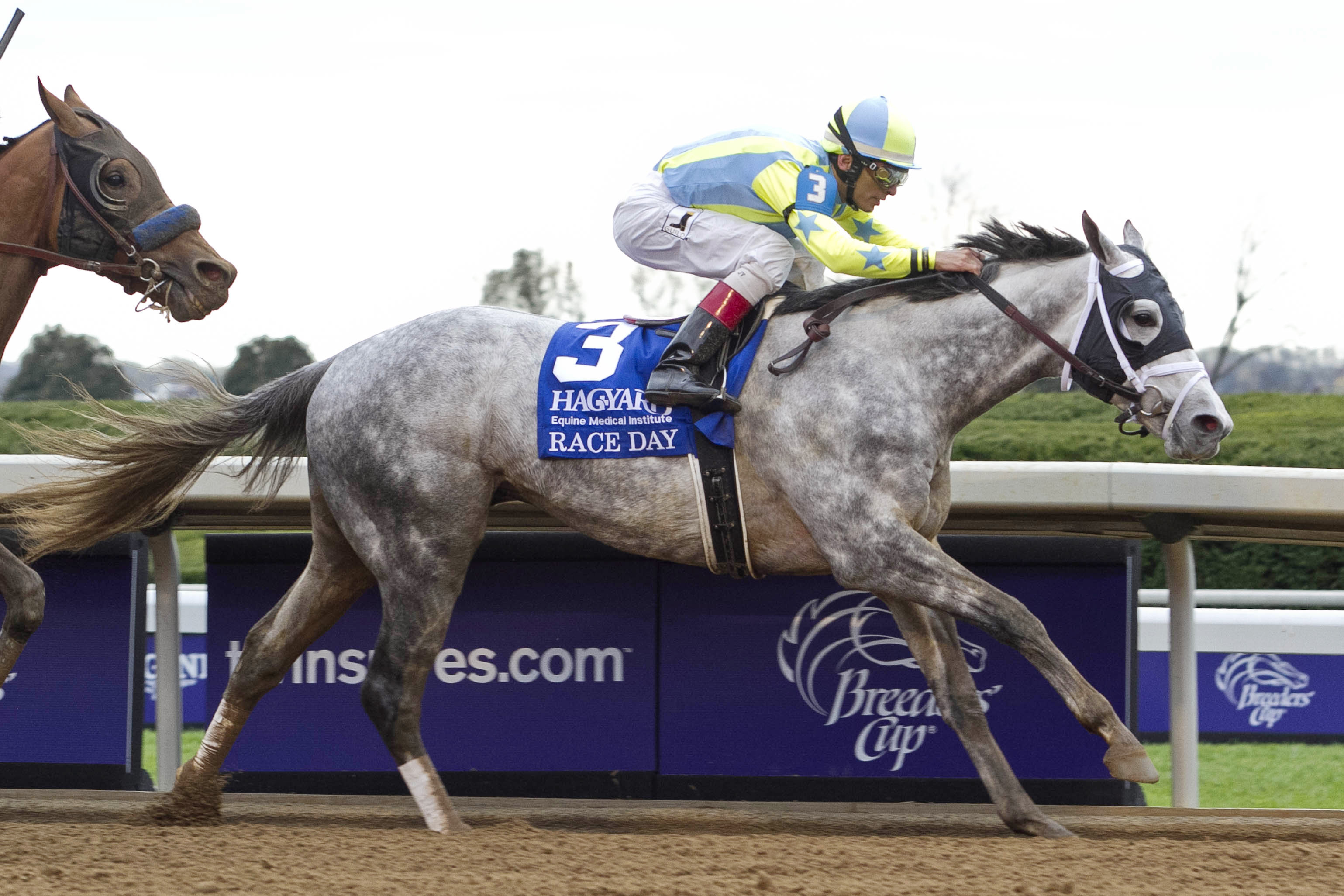 Race Day wins the Hagyard Fayette Stakes