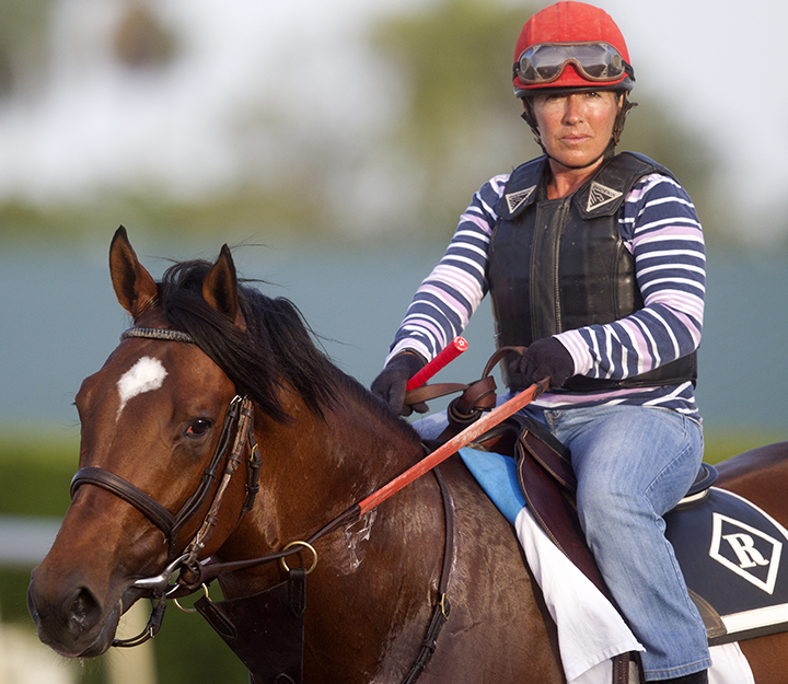 Race Me Home in February 2016
