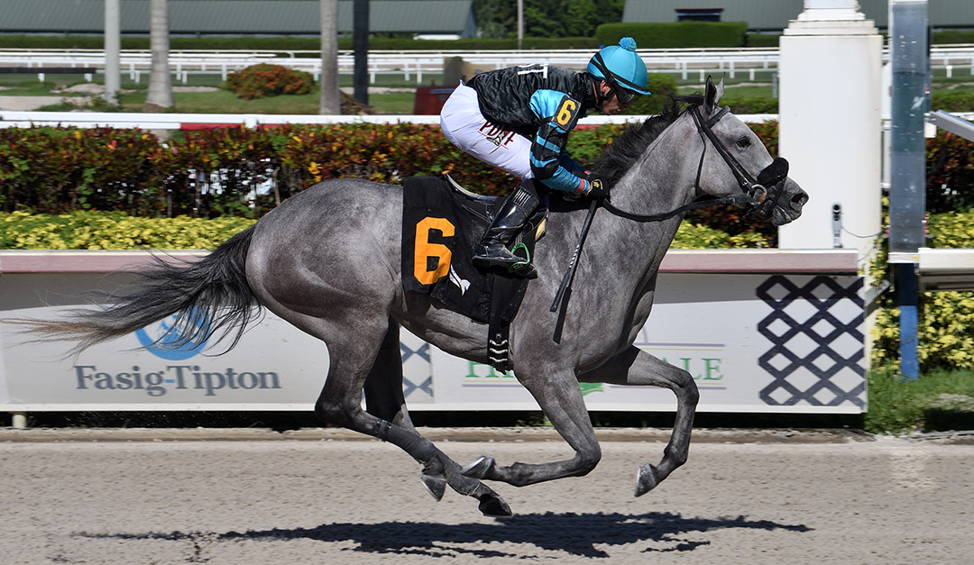 Race Day Speed wins an Aug. 8 claiming race at Gulfstream Park