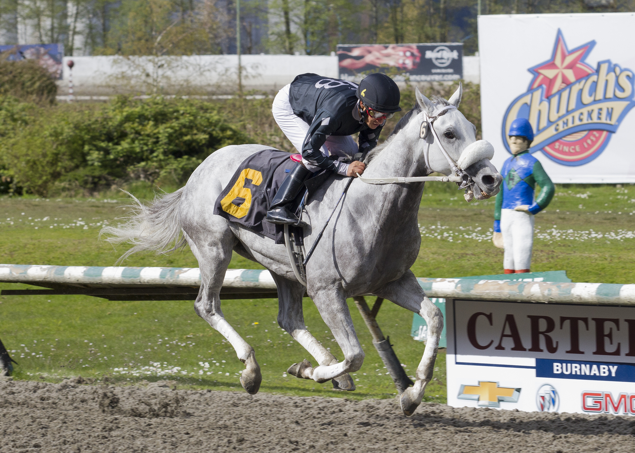 Blue Law wins 2018 Swift Thoroughbreds
