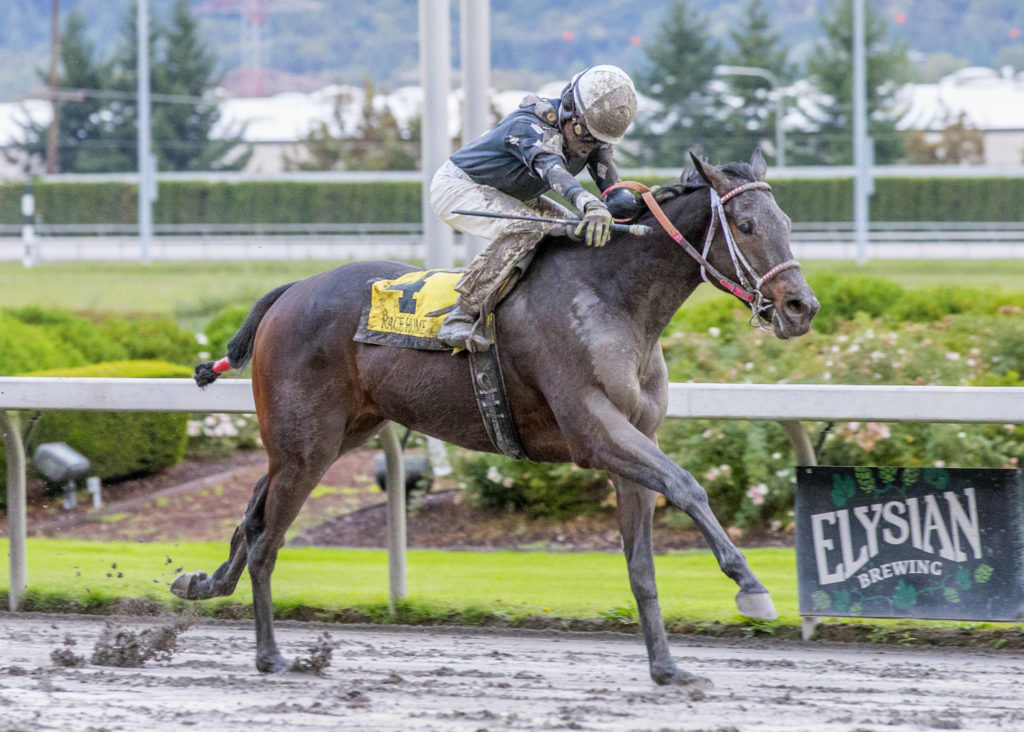 Race Home wins the 2019 Gottstein Futurity