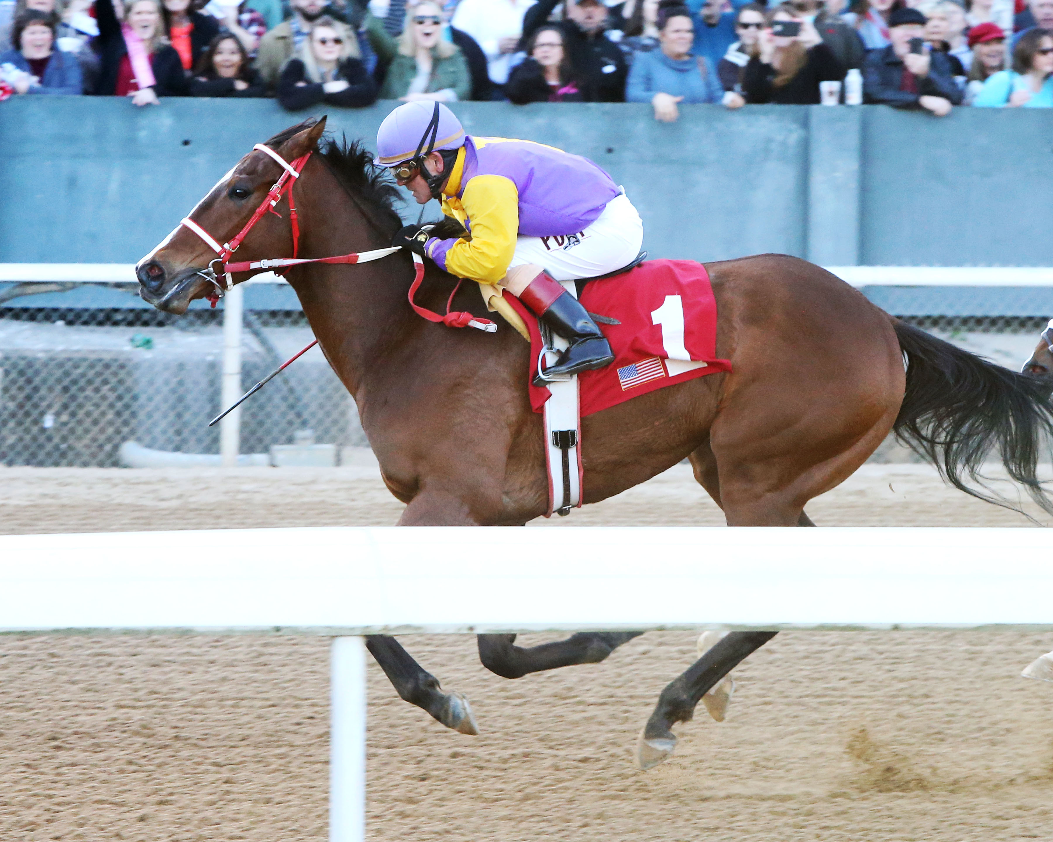 Racer wins the Nodouble Breeders' Stakes