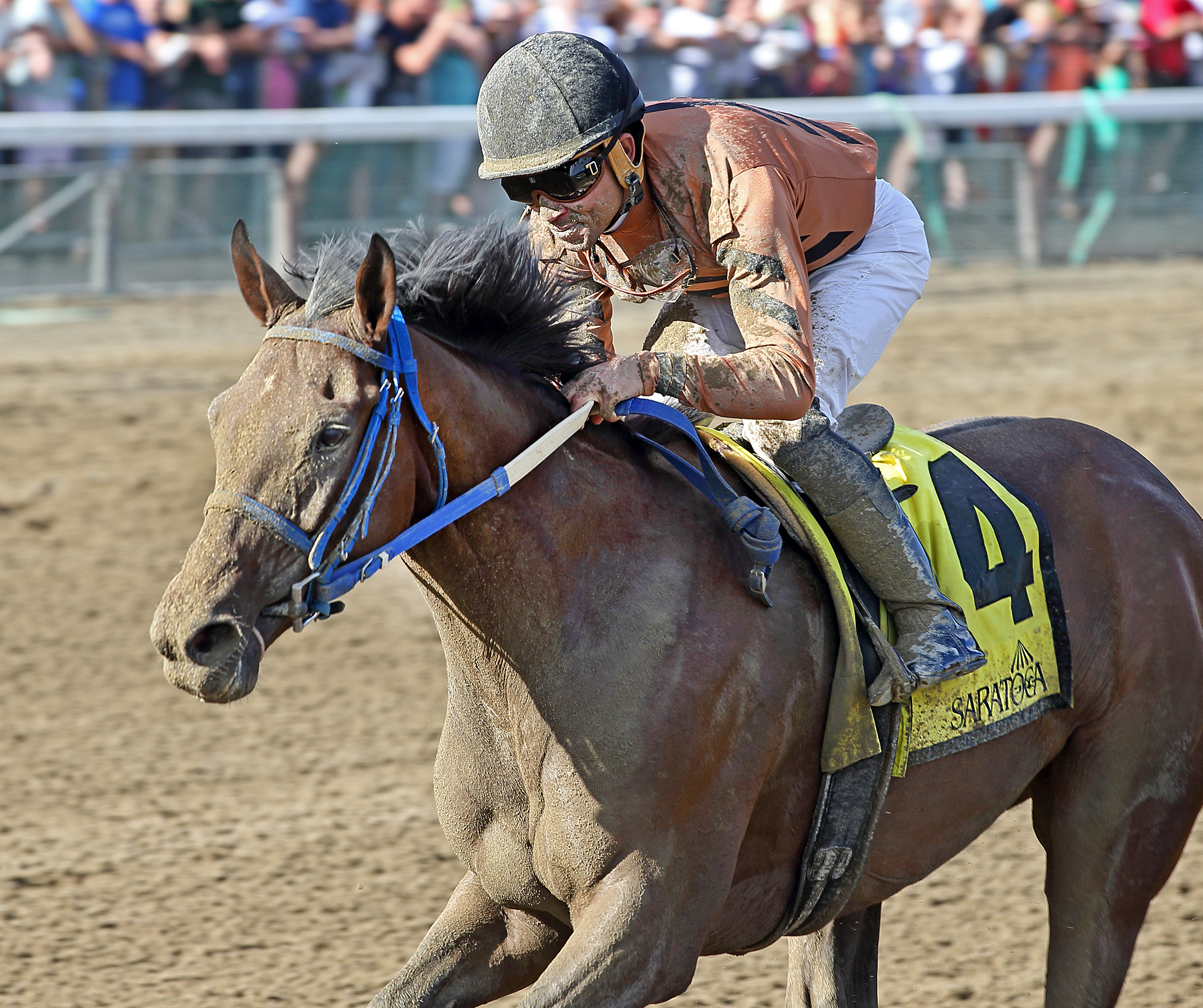 Rachel's Temper wins the Summer Colony