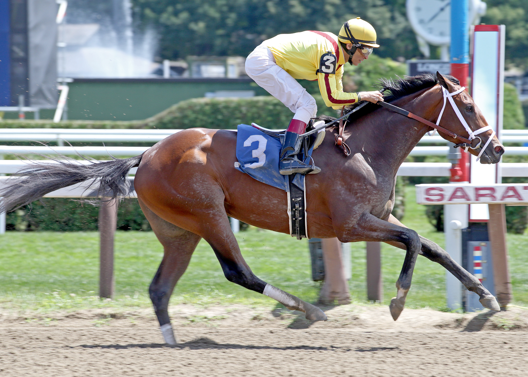 Rachel's Valentina 8-2-2015