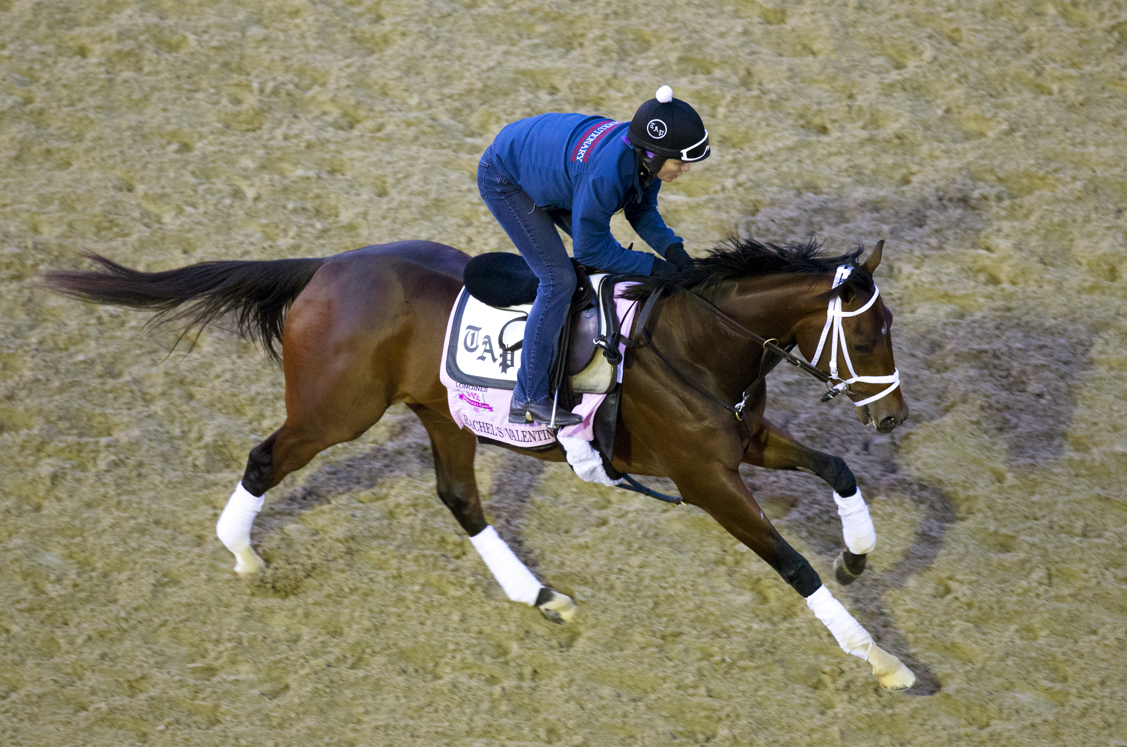 Rachel's Valentina trains at Churchill on May 4