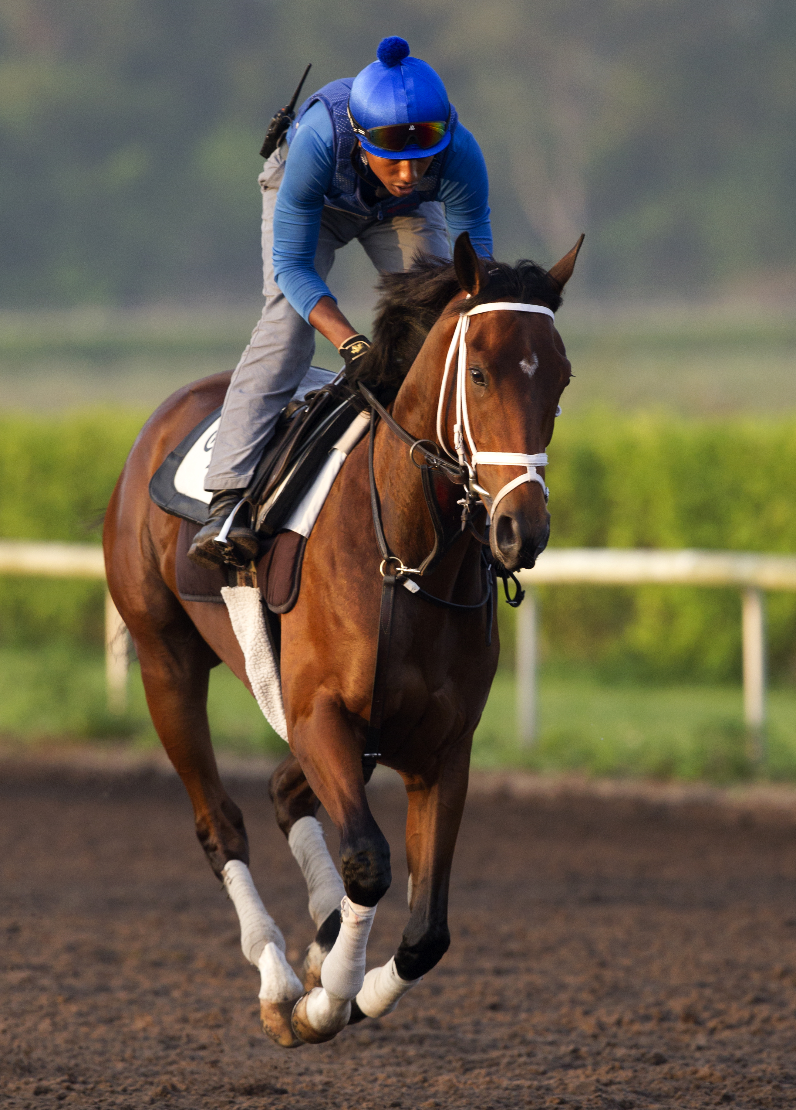 Rachel's Valentina