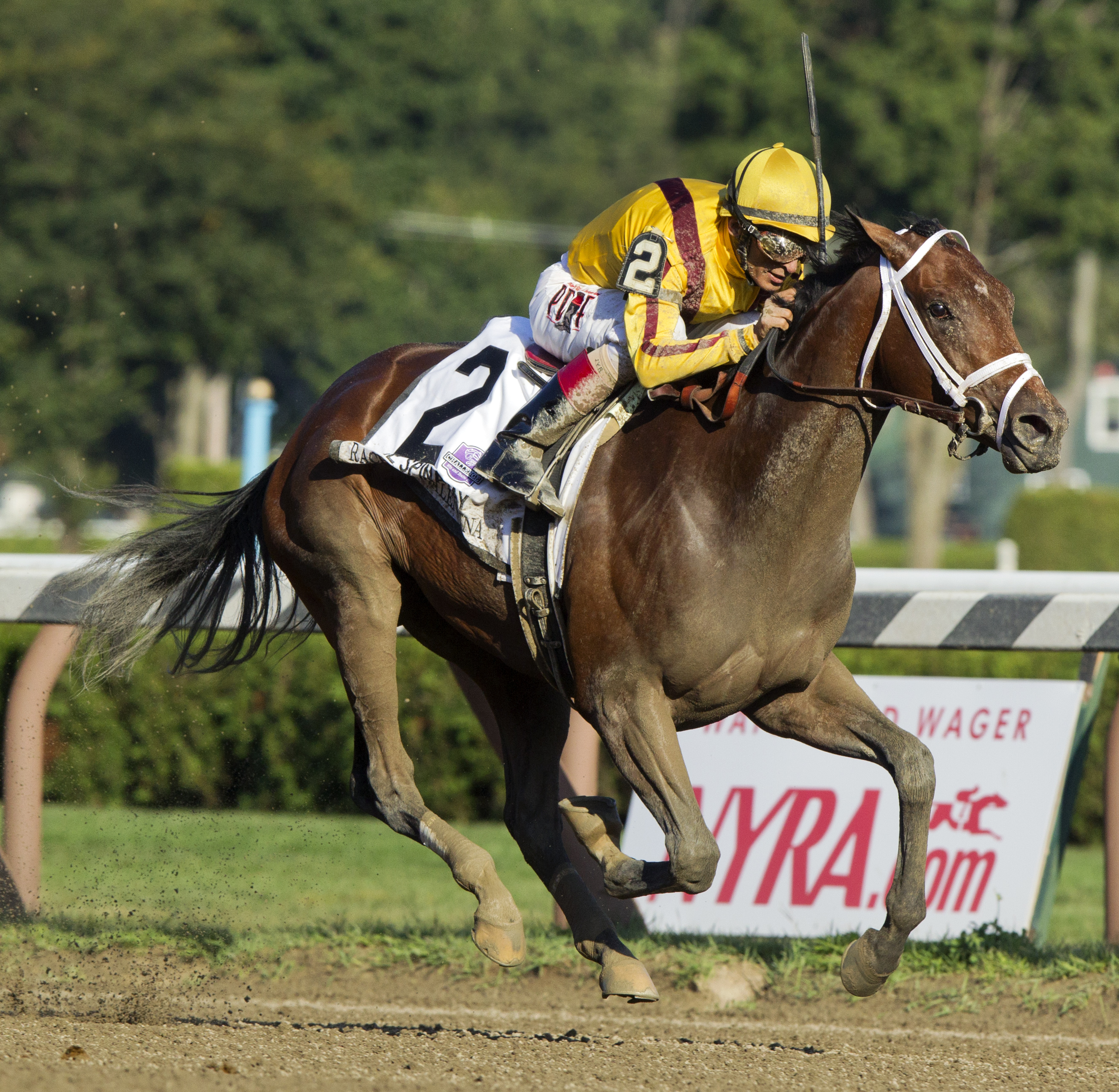 Rachel's Valentina