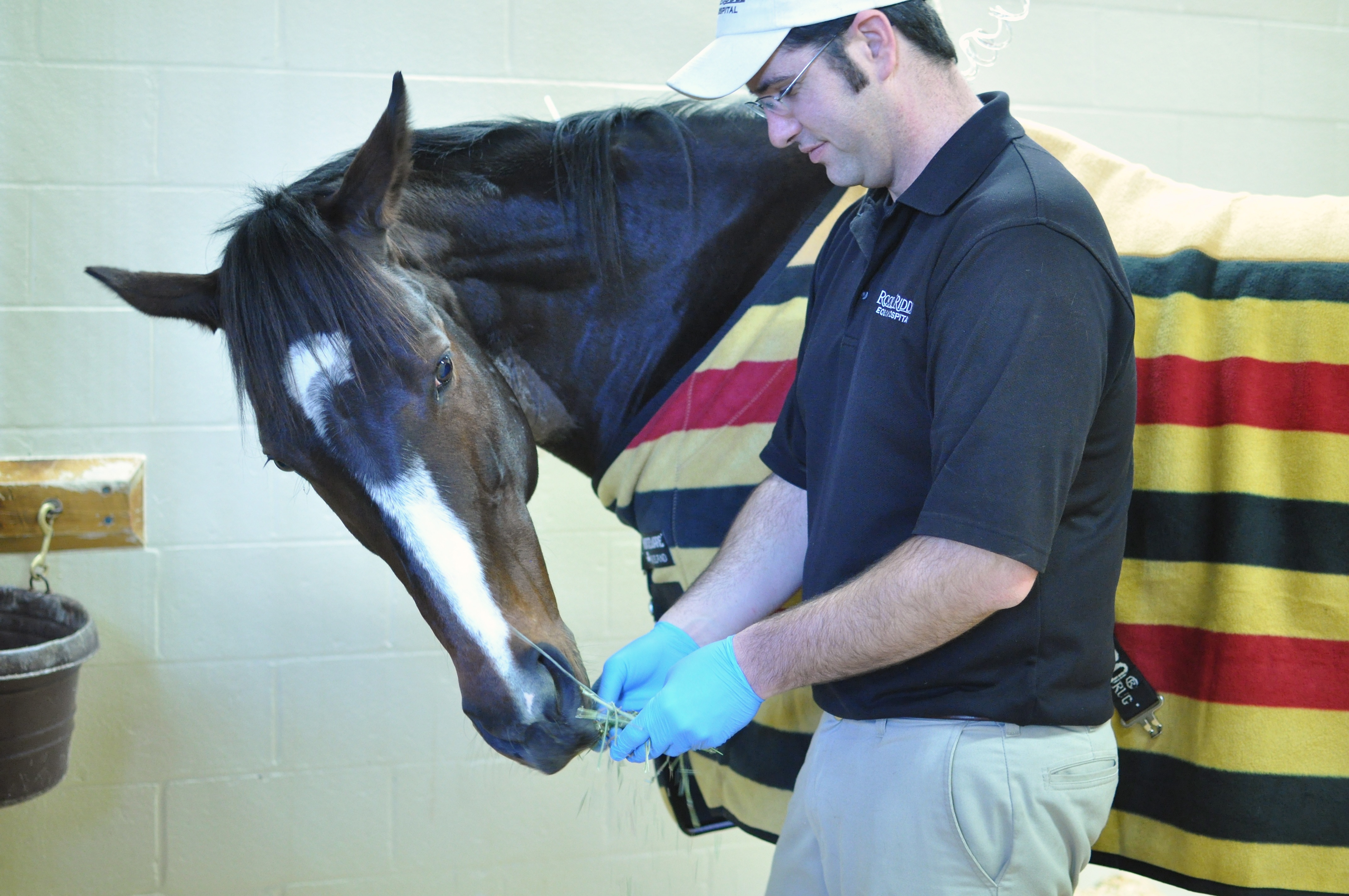 Rachel Alexandra at Rood and Riddle