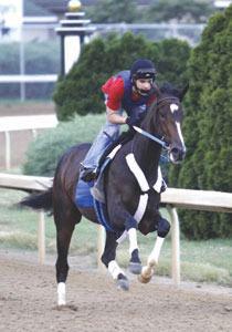 Rachel Alexandra