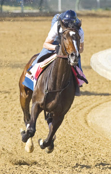 Rachel Alexandra