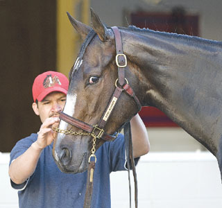 Rachel Alexandra