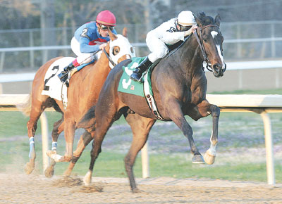 Rachel Alexandra