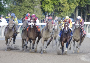Rachel Alexandra