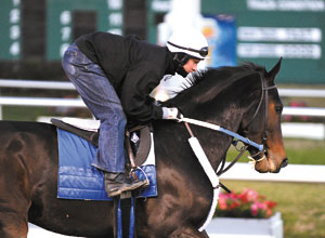 Rachel Alexandra