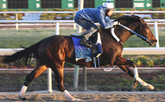 Rachel Alexandra