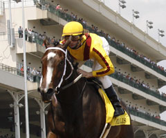 Rachel Alexandra