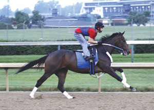 Rachel Alexandra
