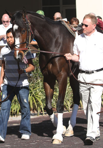 Rachel Alexandra