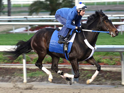 Rachel Alexandra