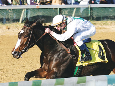Rachel Alexandra