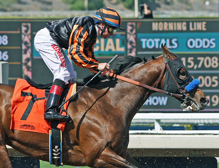 Rafal finishes third in a March 29 maiden race