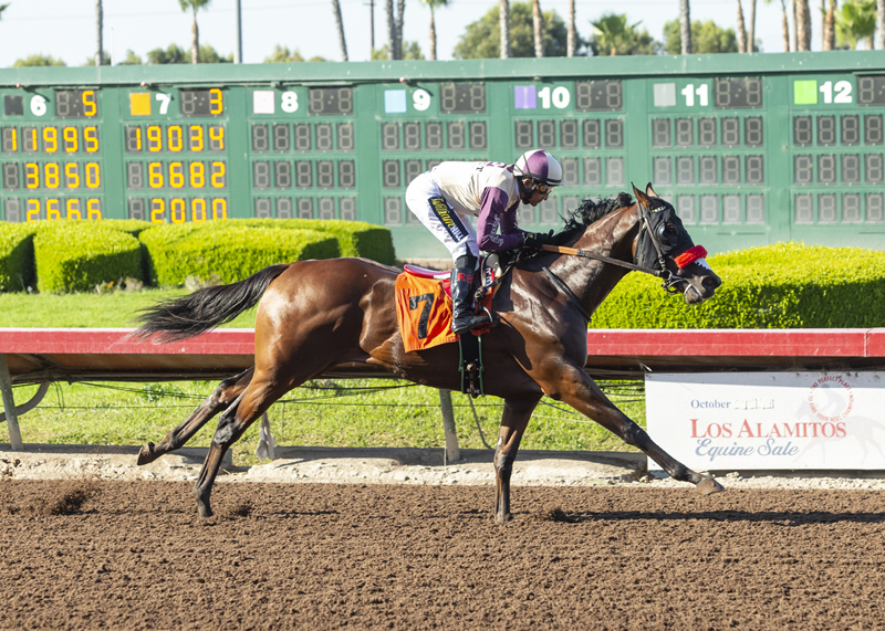 Raging Whiskey wins the 2019 Capote Stakes