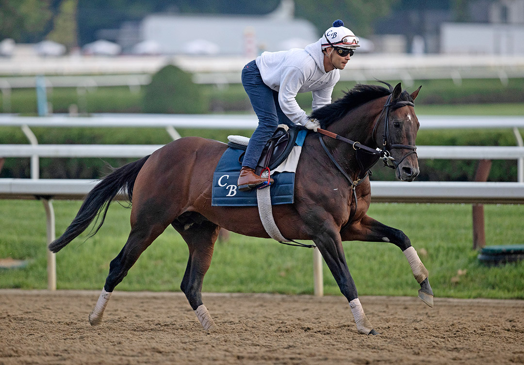 Raging Bull trains at Saratoga Race Course on Aug. 5