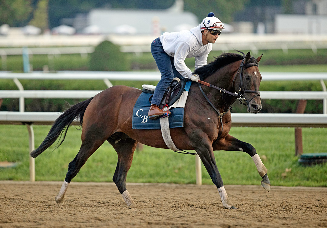 Raging Bull trains at Saratoga Race Course on Aug. 5