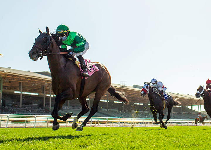 Raging Bull wins the Shoemaker Mile at Santa Anita Park