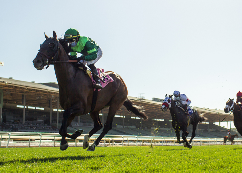 Raging Bull/Shoemaker Mile