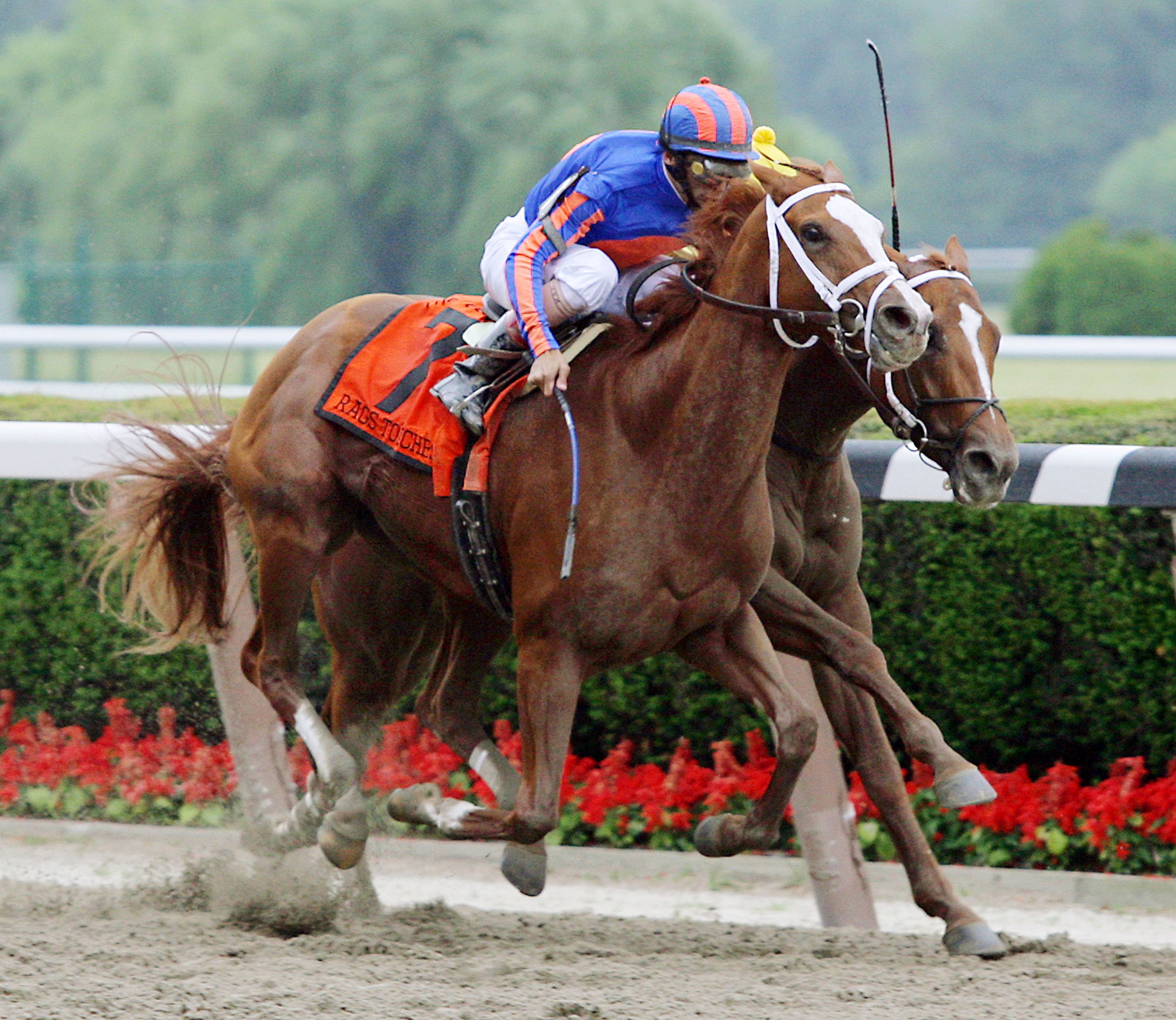 Rags to Riches wins the 2007 Belmont Stakes