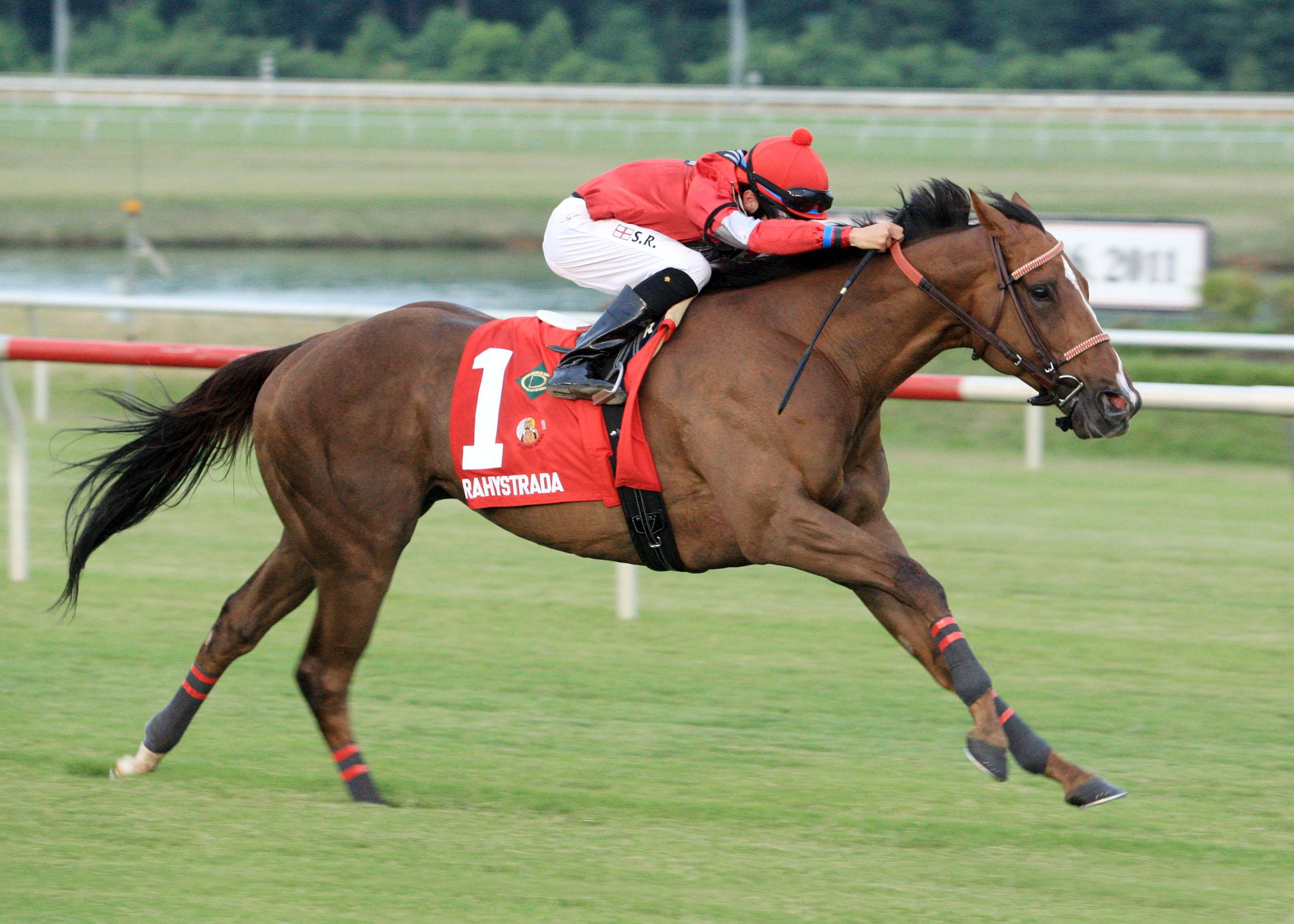 Rahystrada/Colonial Turf Cup