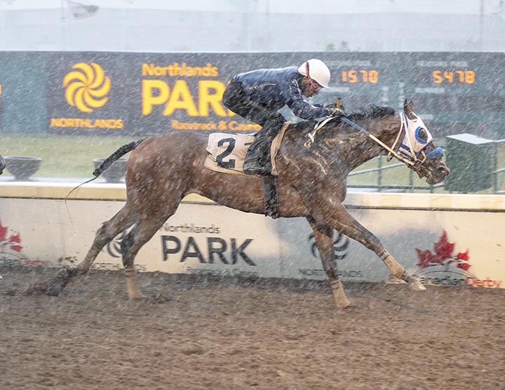 Raider wins the 2018 Sonoma Handicap