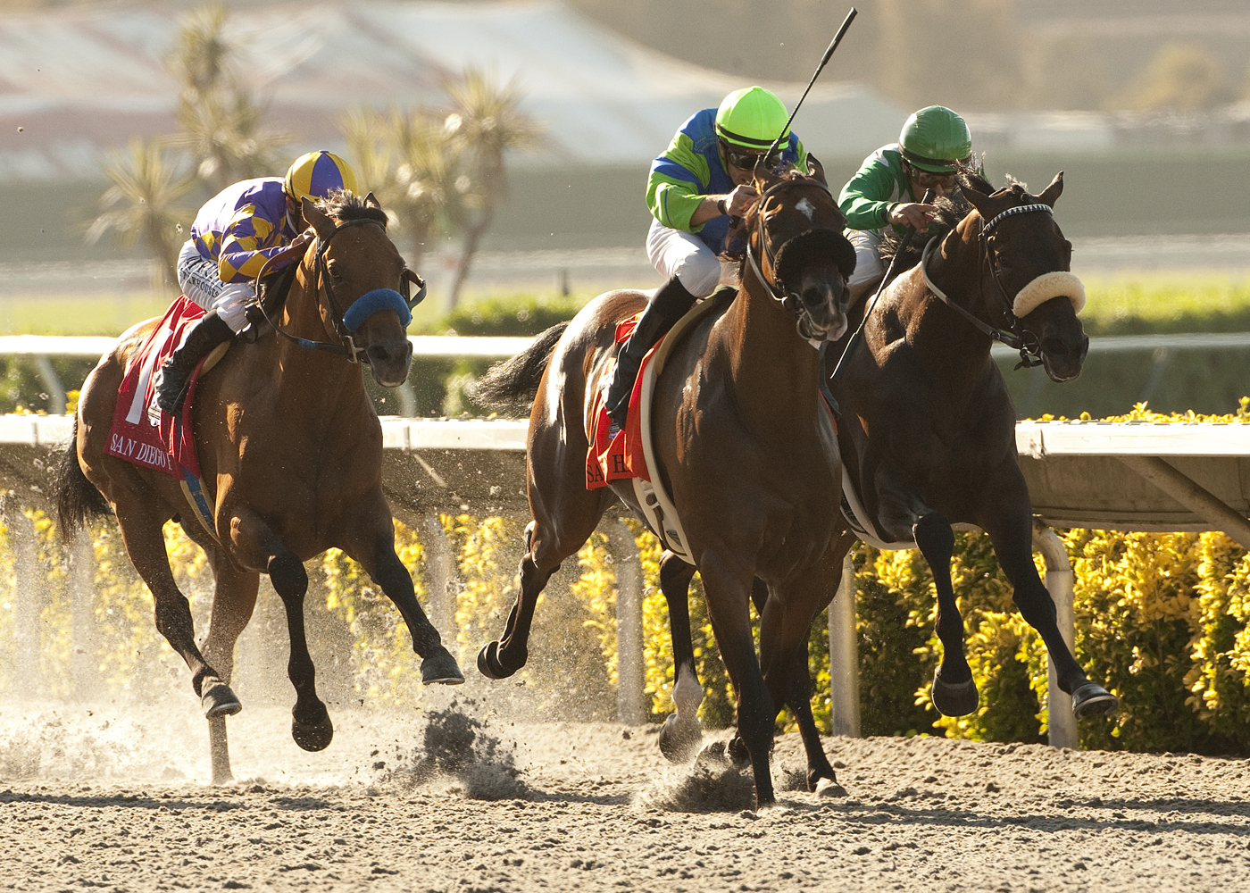 Rail Trip/San Diego Handicap