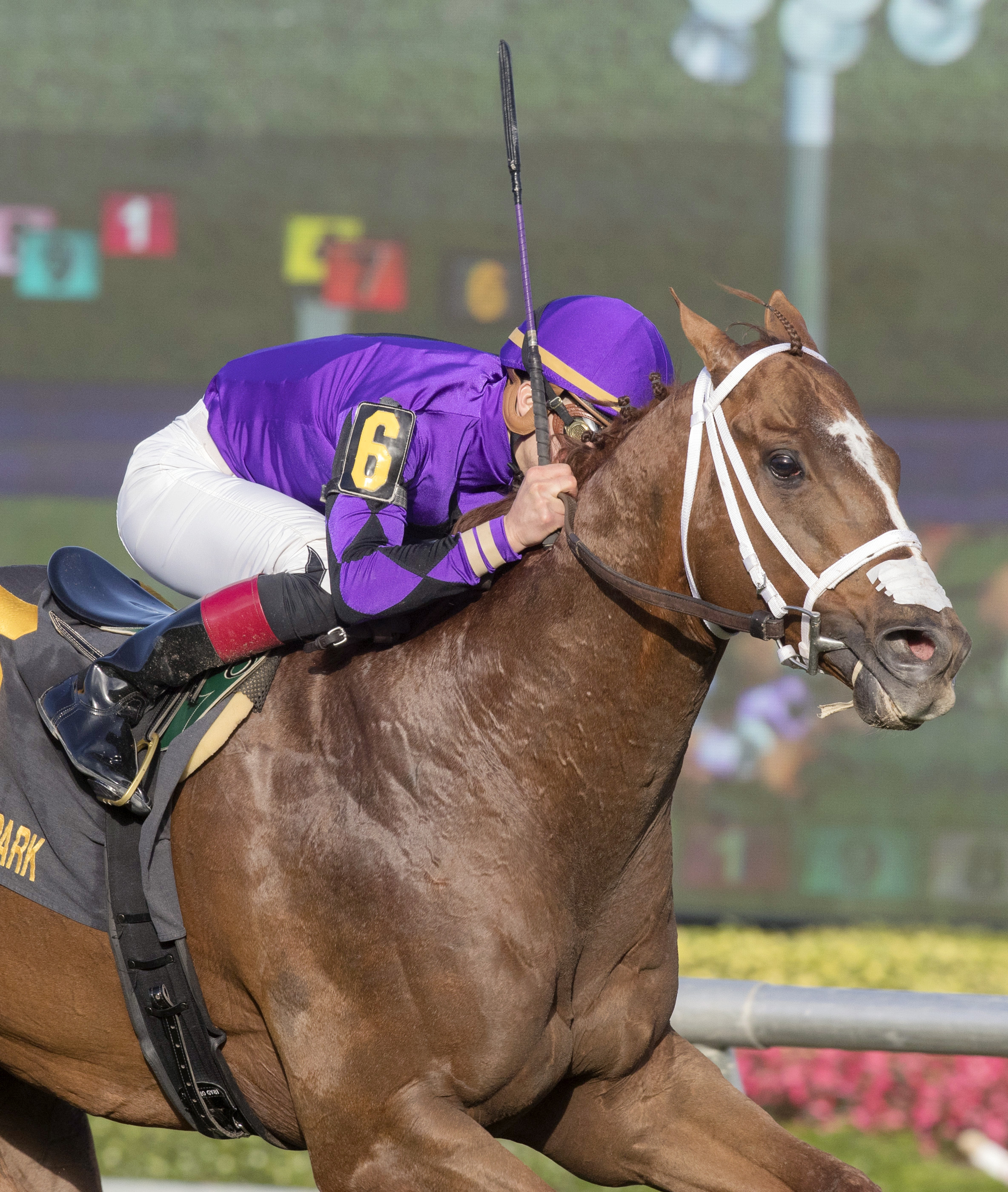 Rainbow Heir wins the 2018 Gulfstream Park Turf Sprint