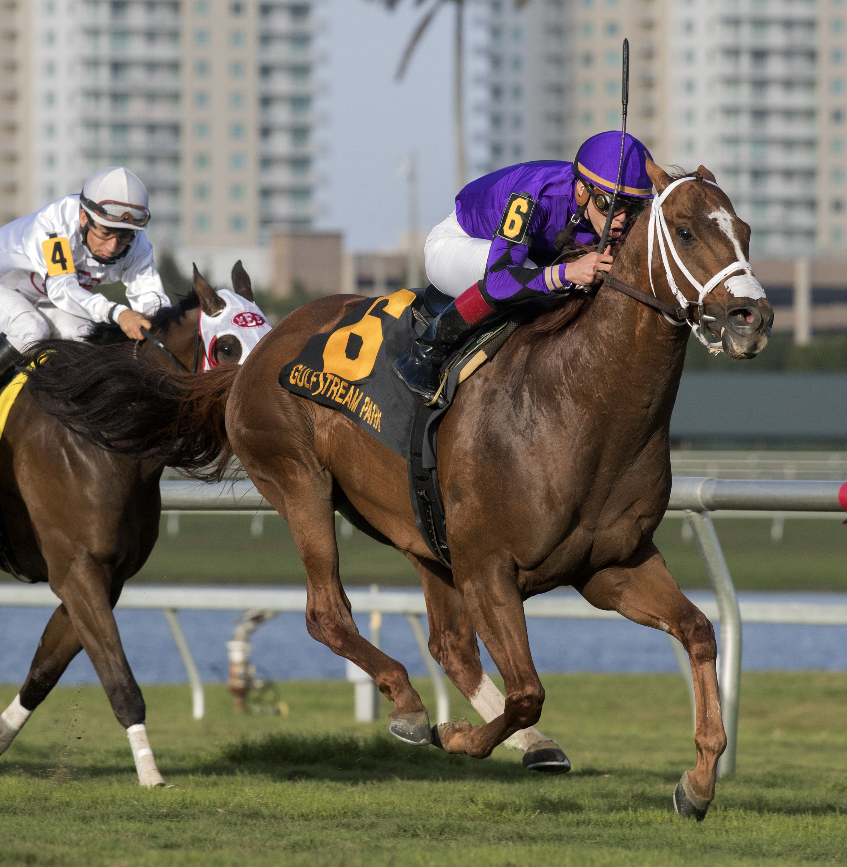 Rainbow Heir wins 2018 Gulfstream Park Turf Sprint