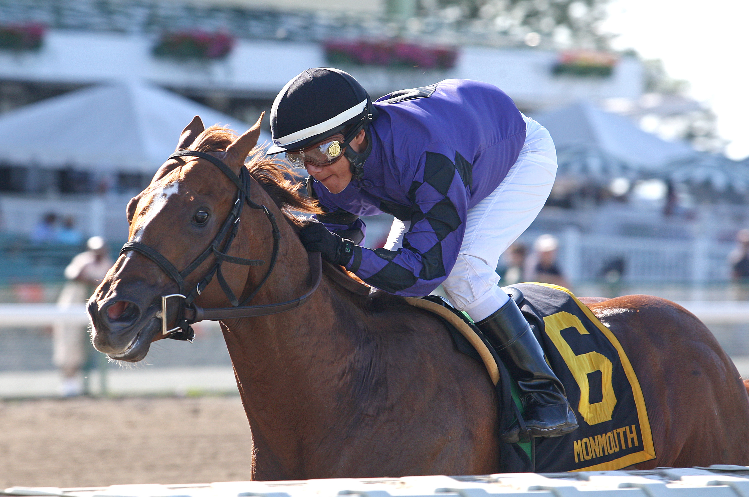 Rainbow Heir 7-4-2013