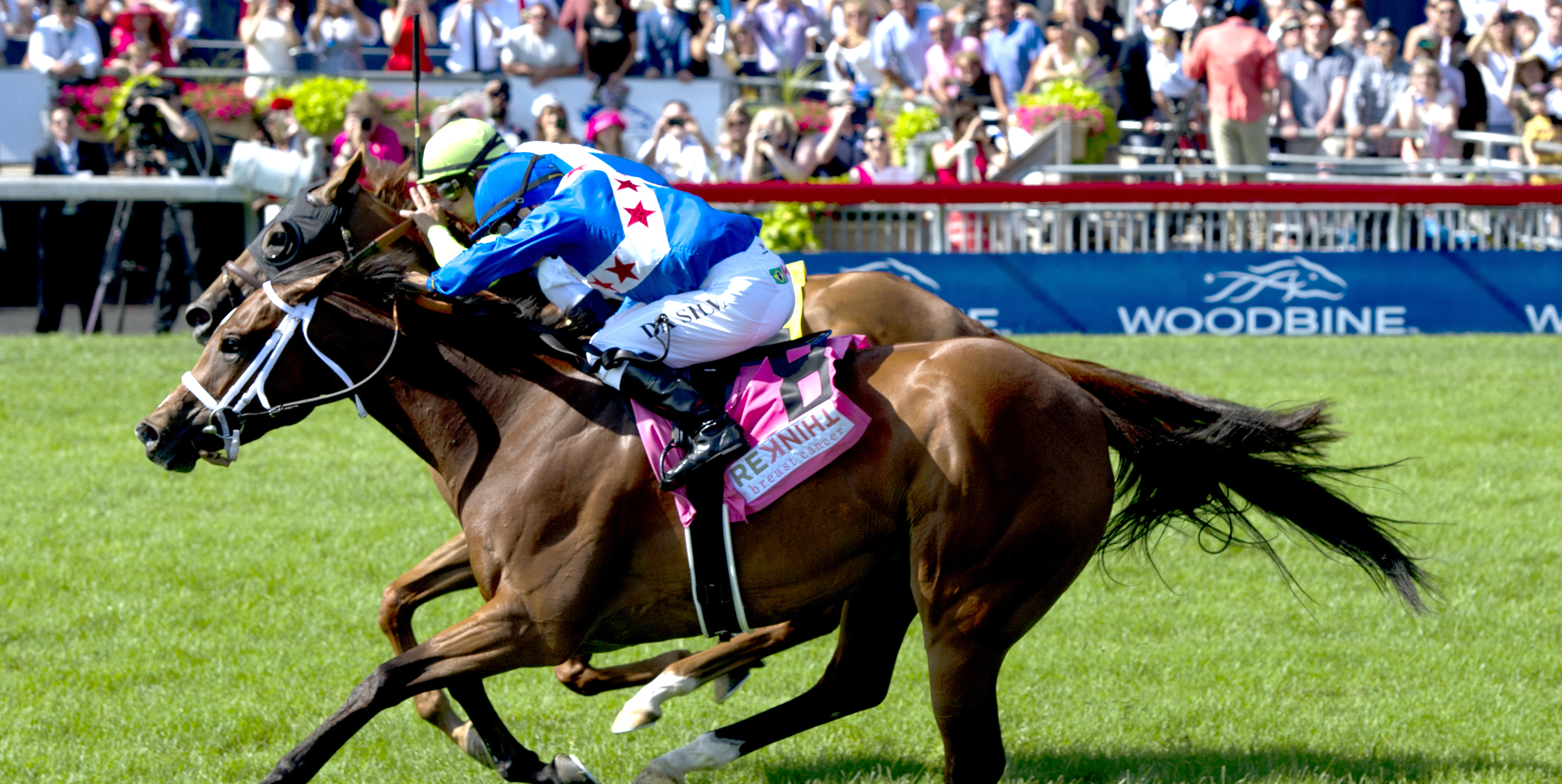 Starship Jubilee and Rainha Da Bateria dead heat in the 2017 Dance Smartly