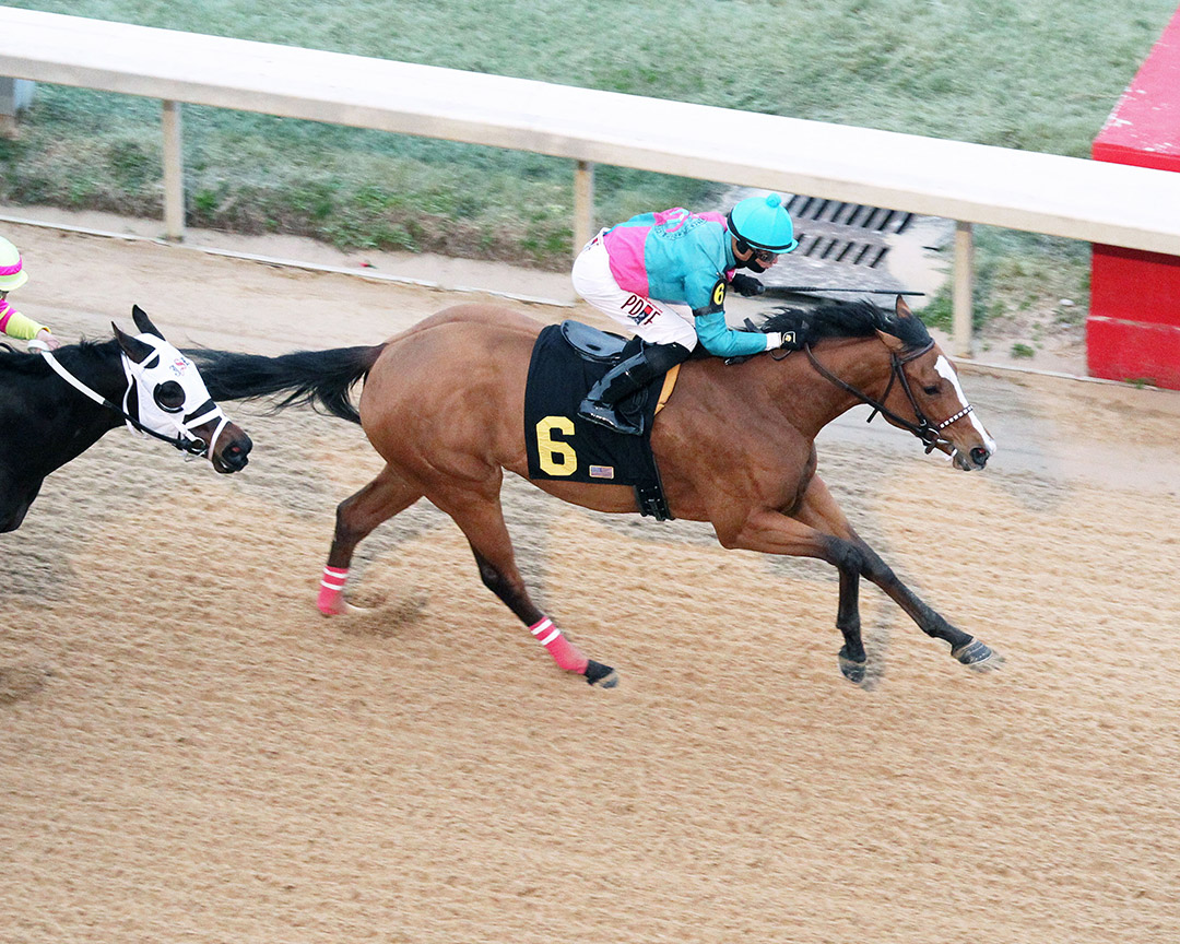 Raintree Starlet wins the 2019 Dixie Belle Stakes at Oaklawn