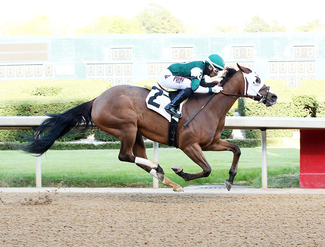 Raintree Starlet wins an April 2 allowance at Oaklawn Park